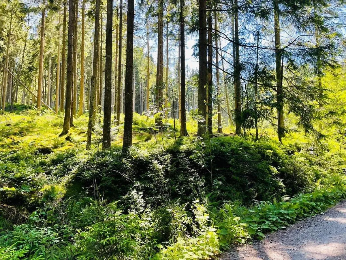 Apartman Appartement Zum Hirsch'N Waldkirchen Németország